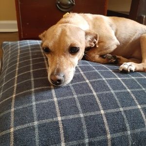 Meet your Posher, Lorraine